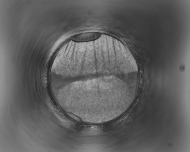 X0000116510056201001061231
