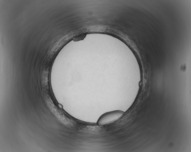 X0000116510057201001061231