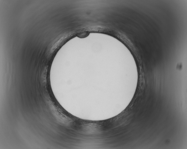 X0000116510058201001061231