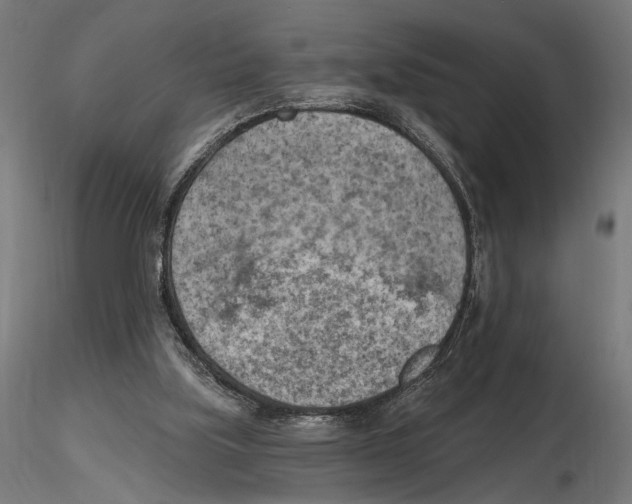 X0000116510059201001061231