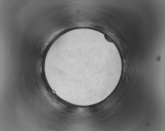 X0000116510060201001061232