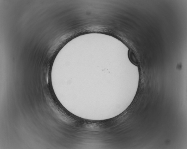 X0000116510062201001061232