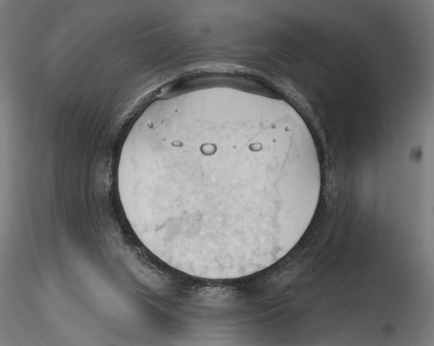 X0000116510063201001061232