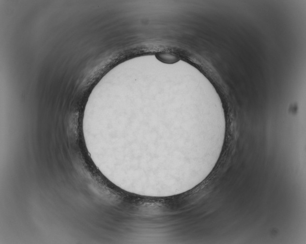 X0000116510066201001061232