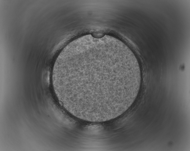 X0000116510067201001061232