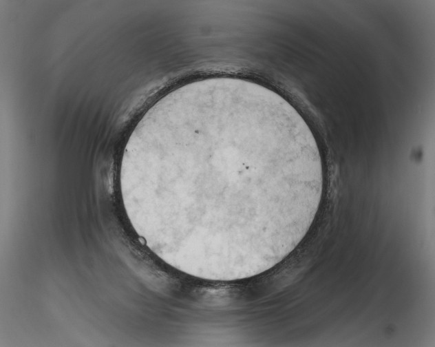X0000116510068201001061232