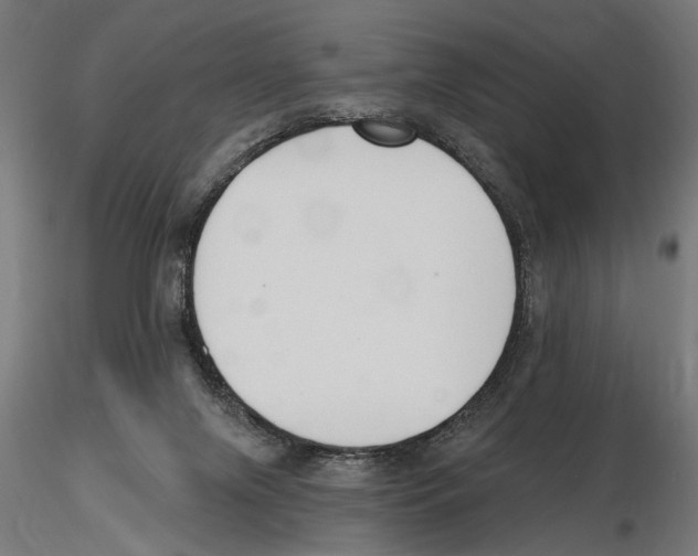 X0000116510071201001061232