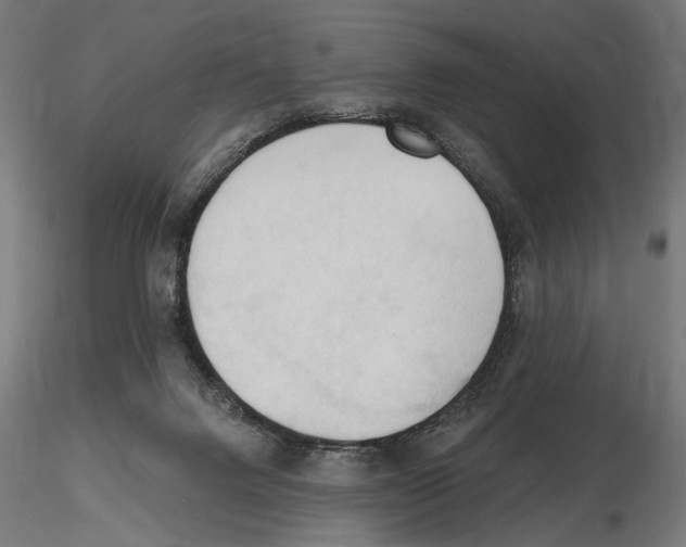 X0000116510072201001061232