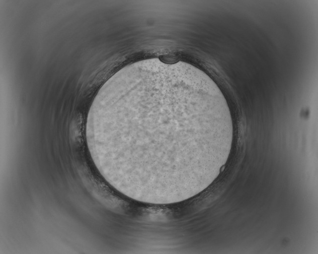 X0000116510073201001061232