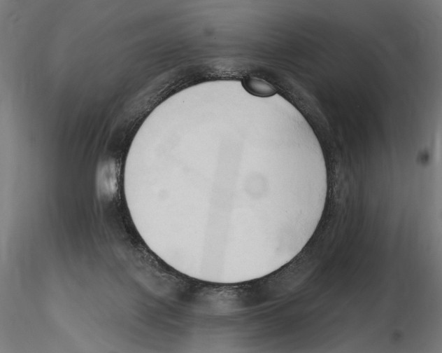 X0000116510075201001061232