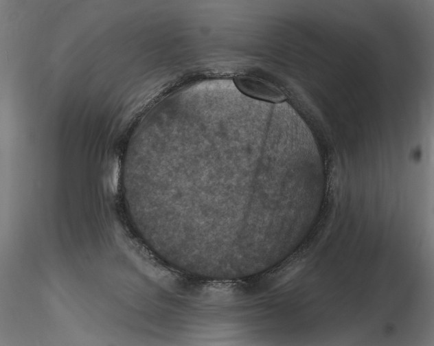 X0000116510076201001061232