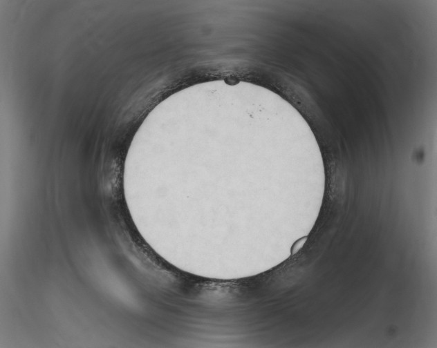 X0000116510077201001061232