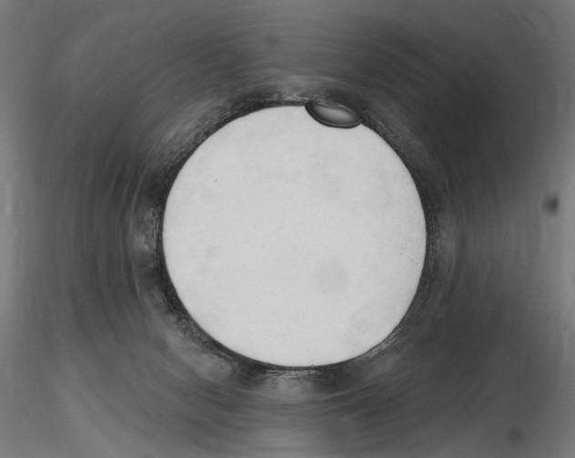 X0000116510078201001061232
