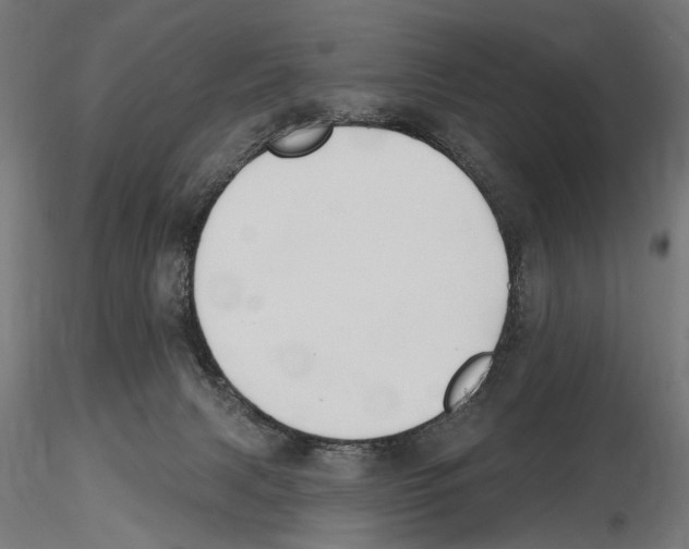 X0000116510079201001061232