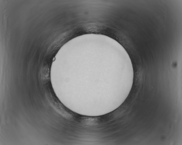 X0000116510081201001061232