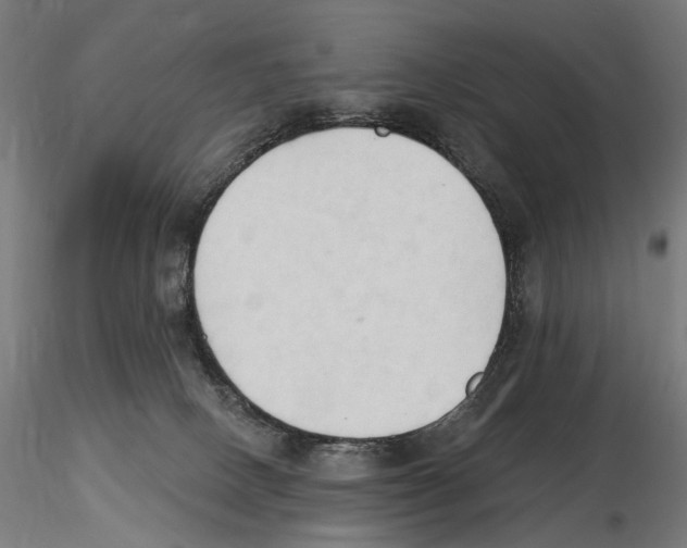 X0000116510082201001061232