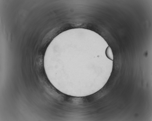 X0000116510085201001061232