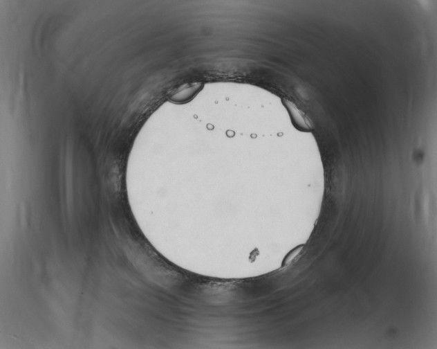 X0000116510086201001061232
