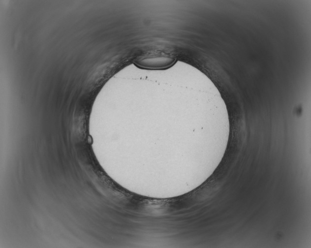 X0000116510088201001061232
