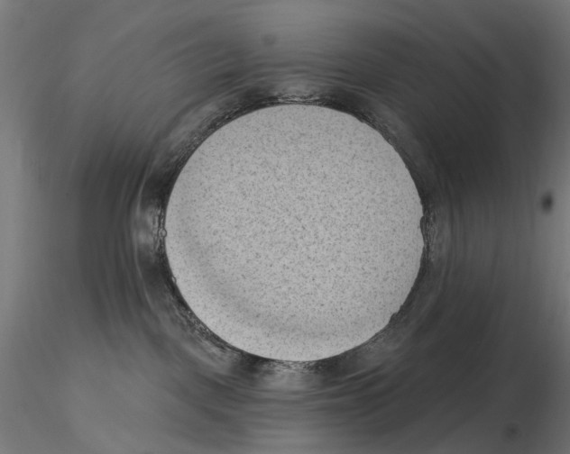 X0000116510093201001061232