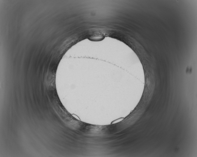 X0000116510096201001061232