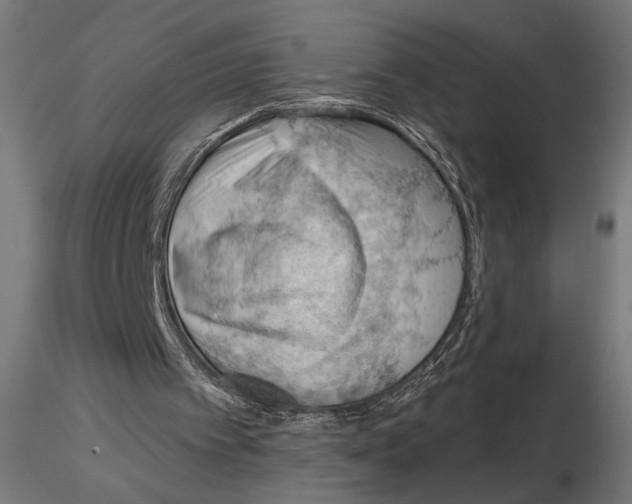 X0000116510097201001061231