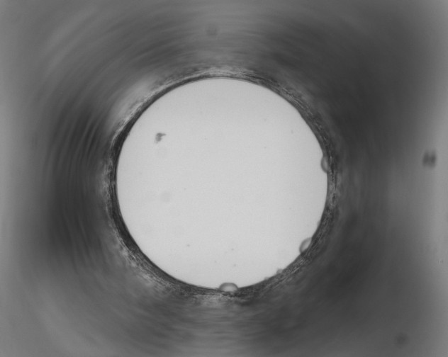 X0000116510098201001061231