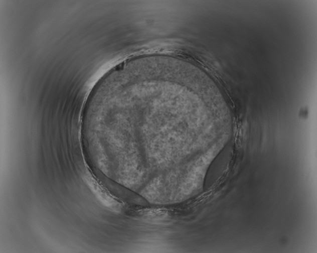 X0000116510100201001061231