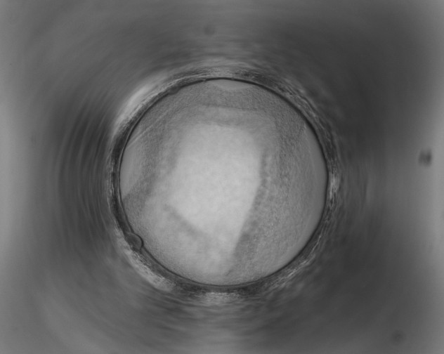 X0000116510101201001061231