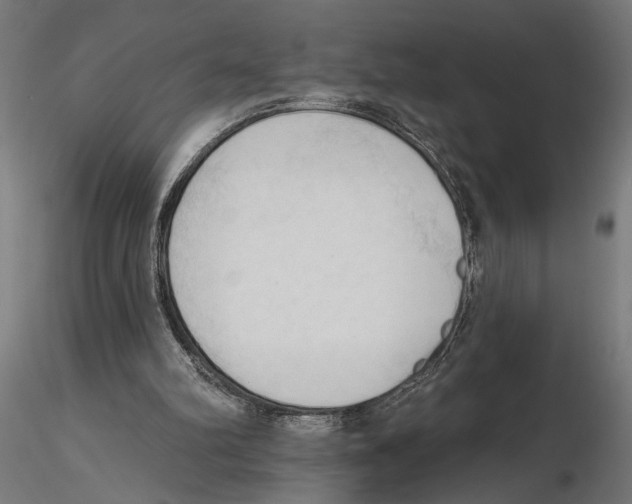X0000116510102201001061231
