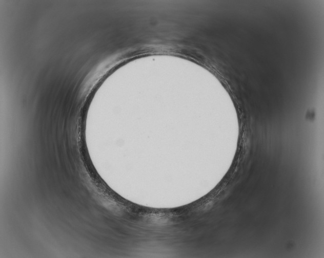 X0000116510103201001061231