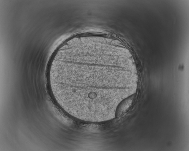 X0000116510104201001061231
