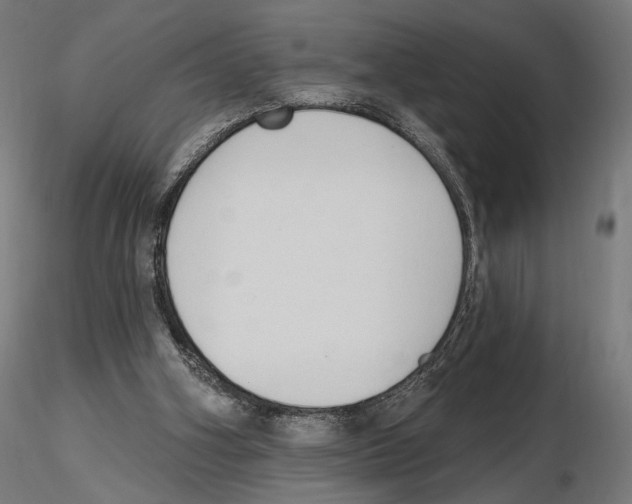 X0000116510106201001061231