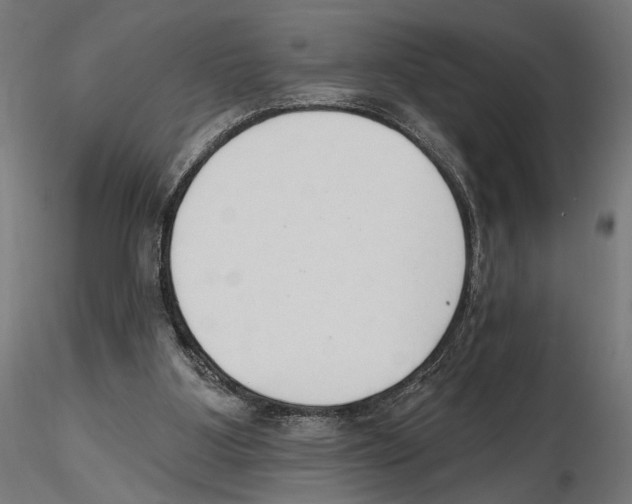 X0000116510107201001061231