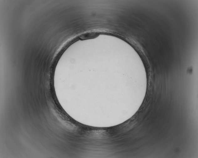 X0000116510108201001061231