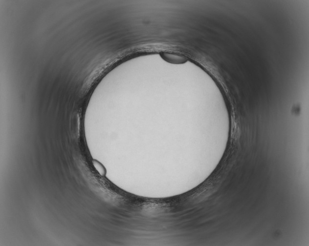 X0000116510109201001061231