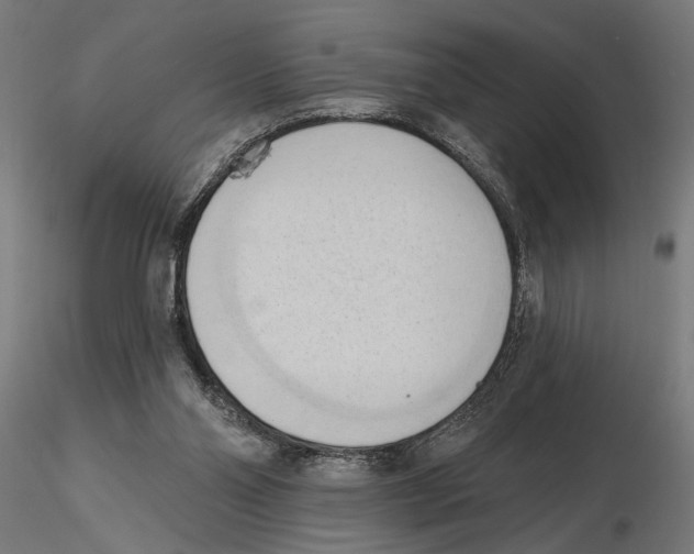 X0000116510110201001061231
