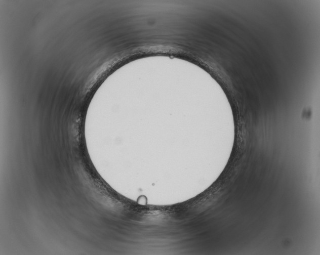 X0000116510111201001061231