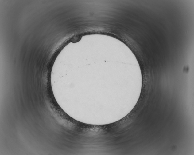 X0000116510112201001061231