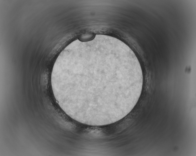 X0000116510113201001061231