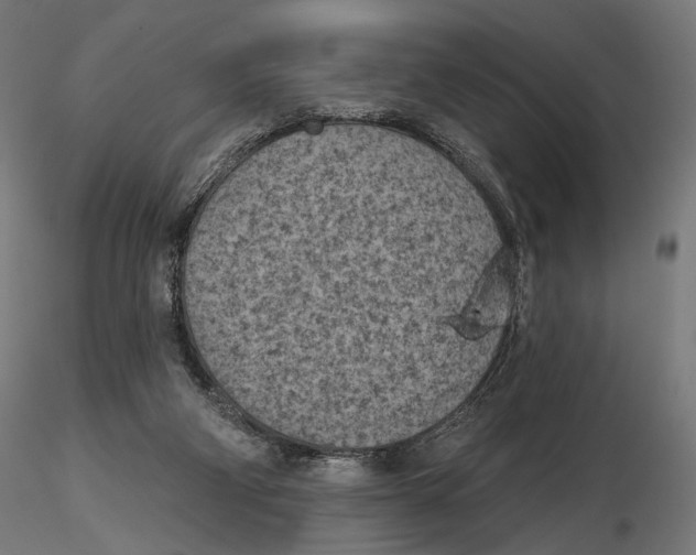 X0000116510114201001061231