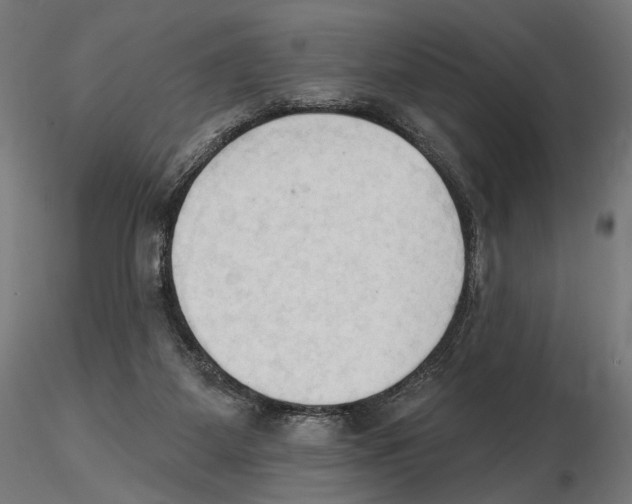 X0000116510115201001061231
