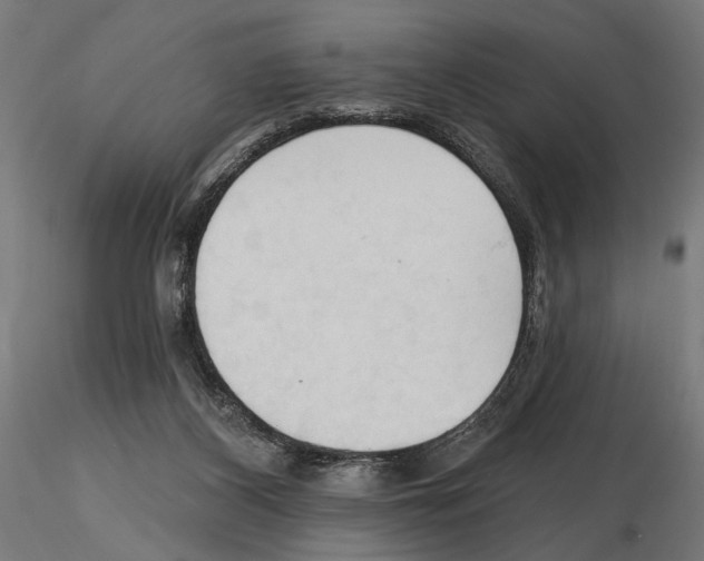 X0000116510116201001061231