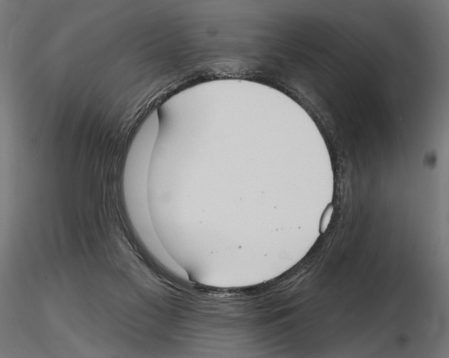 X0000116510117201001061231