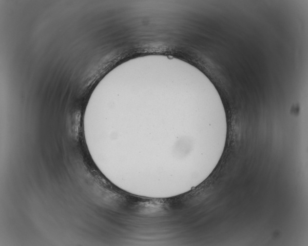 X0000116510118201001061231