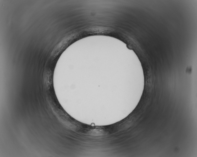 X0000116510119201001061231
