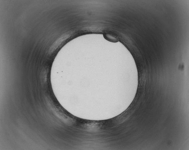 X0000116510120201001061231
