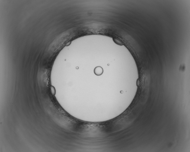 X0000116510121201001061231