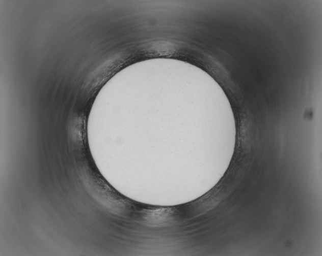 X0000116510122201001061231