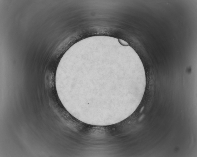 X0000116510123201001061231